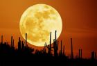No Link Between 'Super Moon' and Earthquakes